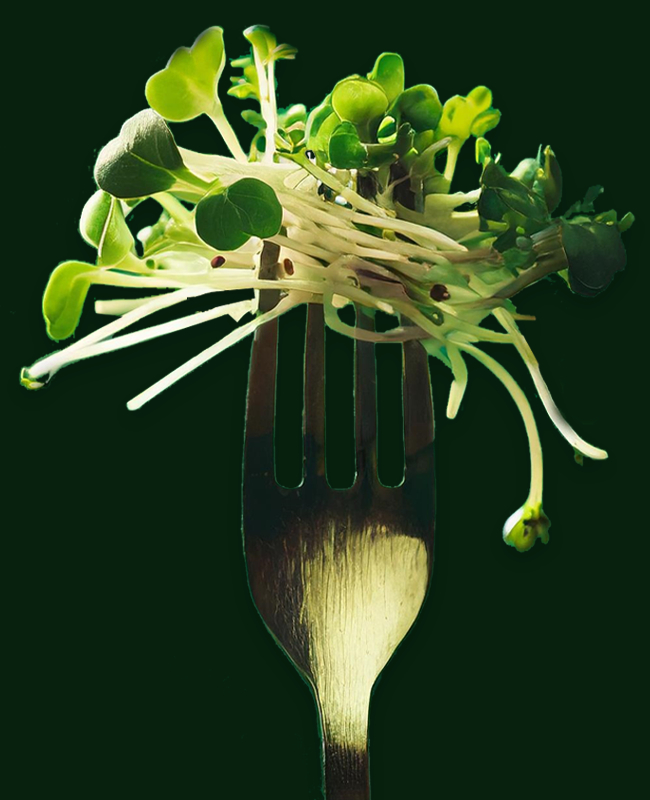 Everything Sprouts On Fork