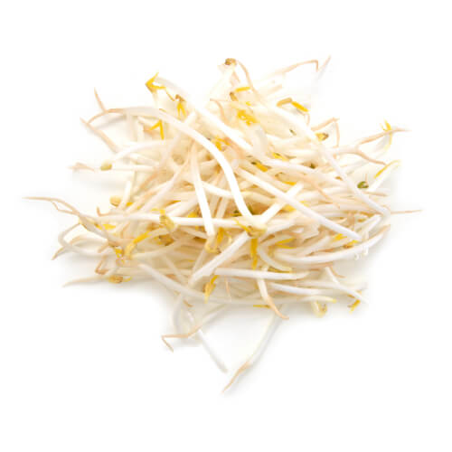 Mungbean Sprouts